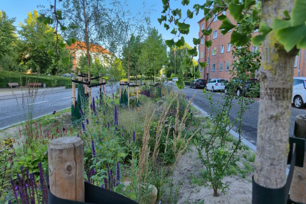 Specialdesignede regnbede: Fremtidens løsning til urban regnvandshåndtering