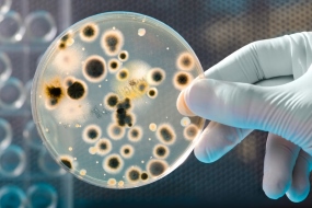 Sund vandinstallation uden kalk og Legionella