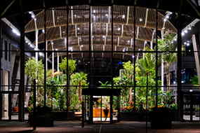 Totalrådgiver på plante løsninger – ude og inde